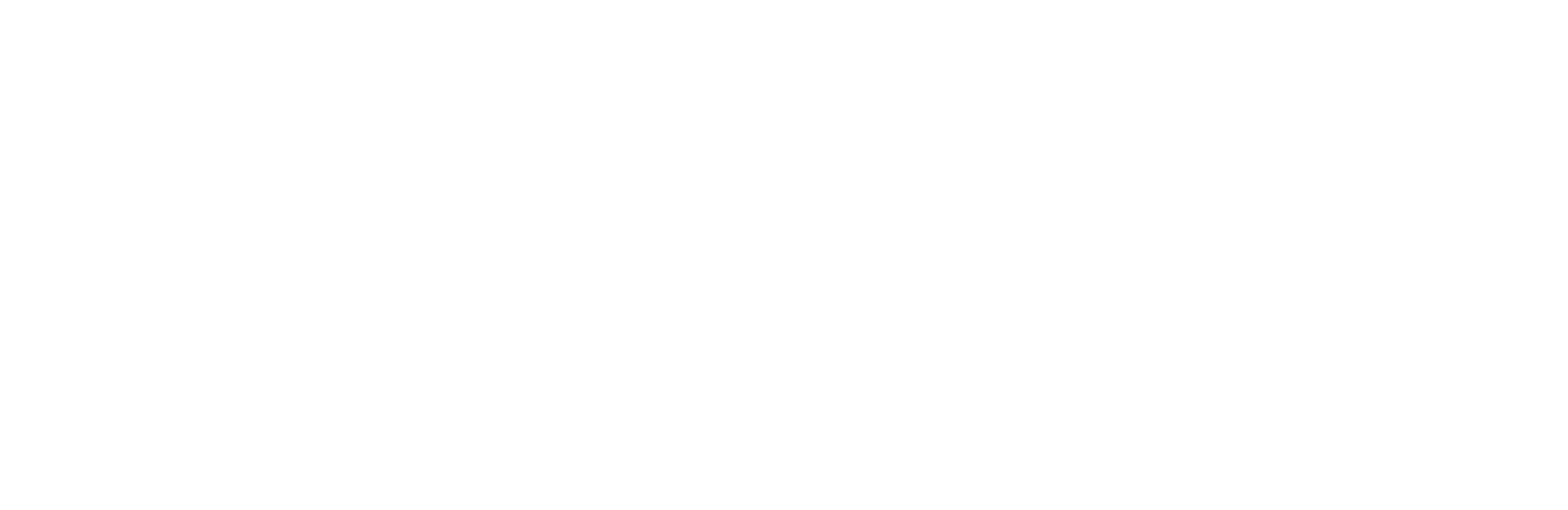 Infoserve Consultants